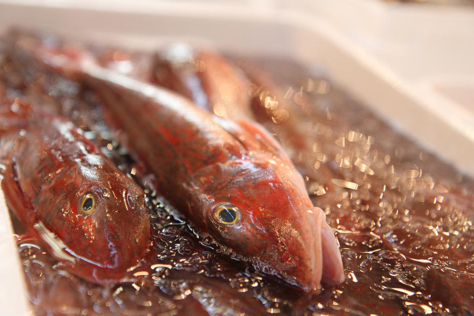 This Oct. 15, 2012 photo shows fish on display at the Tsukiji fish market in Tokyo. Tsukiji is the biggest fish market in the world, and tourists willing to line up well before dawn can view the rapid-fire auctions where the giant fish are sold. (AP Photo/Fritz Faerber)