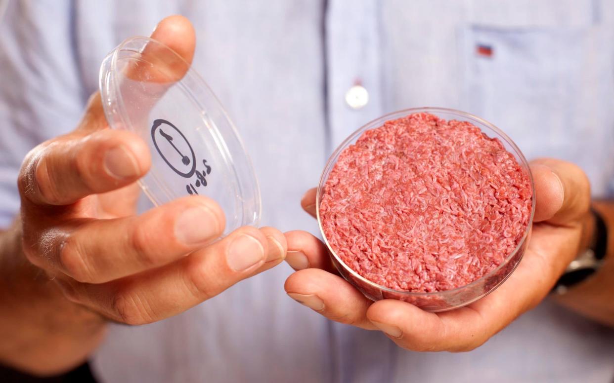 Would you eat a lab-grown beef burger?  - PA
