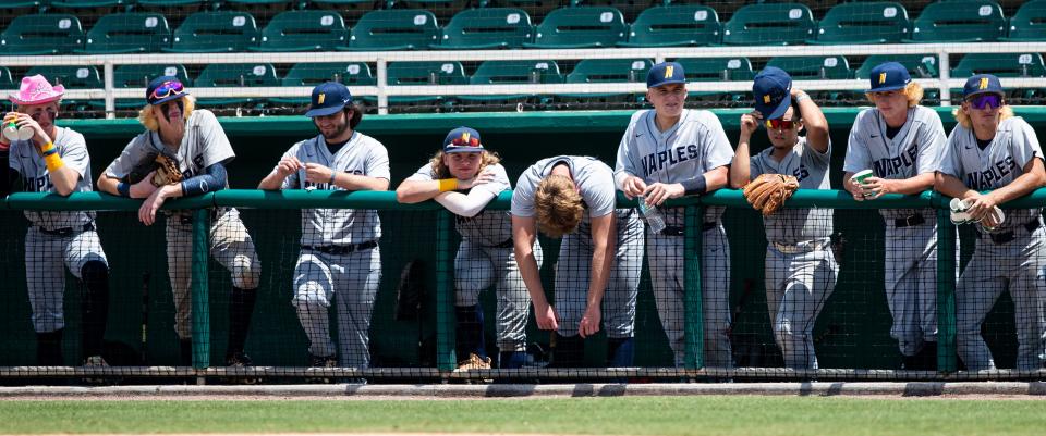 Members of the Naples High School react during a state semifinal baseball game between Tampa Jesuit and Naples at Hammond Stadium in Fort Myers on Thursday,May 19, 2022. Naples lost 5-2.