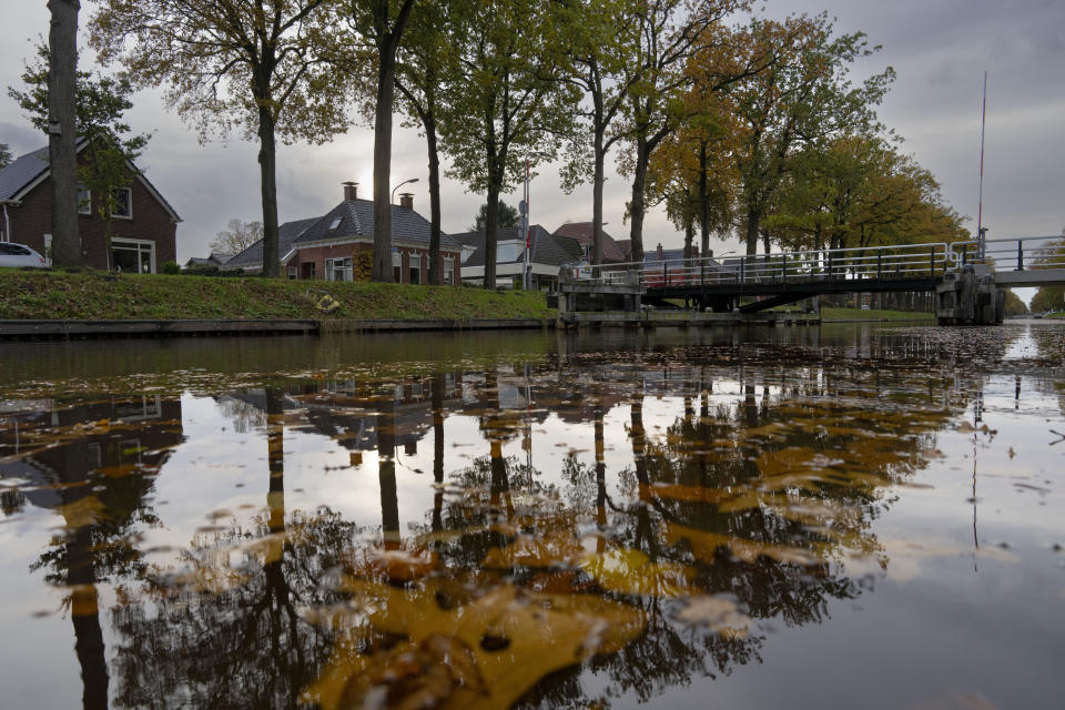 Autumn leaves float in the Ter Apel Canal in Ter Apel, north eastern Netherlands, Thursday, Nov. 9, 2023. (AP Photo/Peter Dejong)