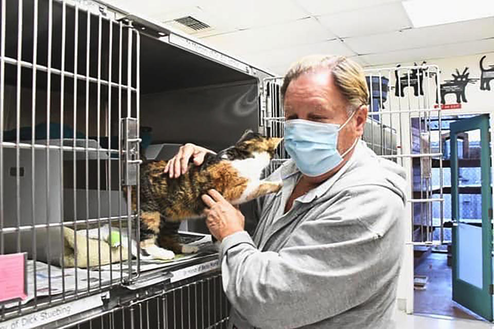 This photo provided by Animal Shelter Assistance Program (ASAP) in Santa Barbara County shows Patches being reunited with family friend Norm Borgatello at Animal Shelter Assistance Program on Dec. 31, 2020, Patches who was believed killed along with her owner in the Montecito debris flow disaster has been found three years later. The Animal Shelter Assistance Program in Santa Barbara County says the calico was brought in as a stray last month and a microchip scan revealed her identity. Patches had been missing since Jan. 9, 2018, when a rainstorm on the vast burn scar of the Thomas Fire sent a debris-laden torrent crashing down through hillside neighborhoods of Montecito, northwest of Los Angeles. (Jillian Title/Animal Shelter Assistance Program via AP)