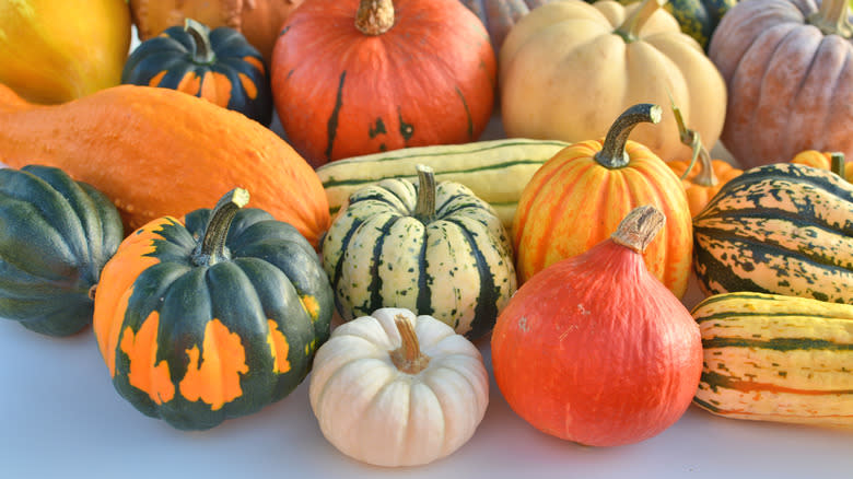 Variety of winter squash