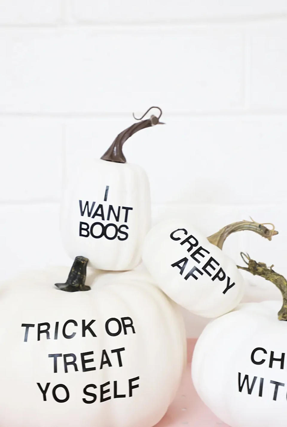 white pumpkin with black punny typography (A Bubbly Life )
