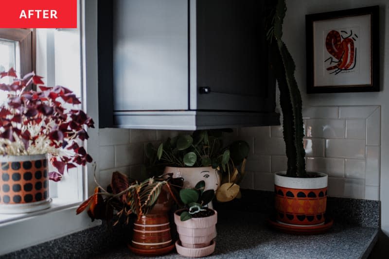cactus, grey counter top, house plants, window sill, grey blue cabinets, white subway tile backsplash, art