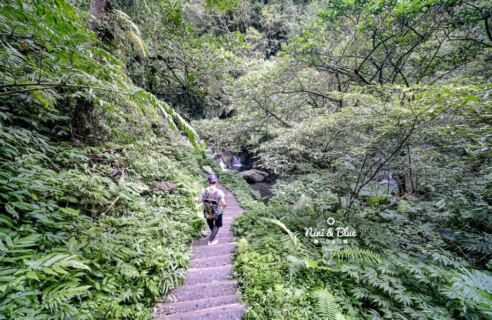 宜蘭｜林美石磐步道