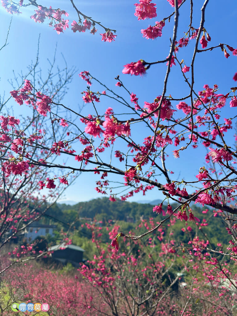 新北市新店｜文山農場