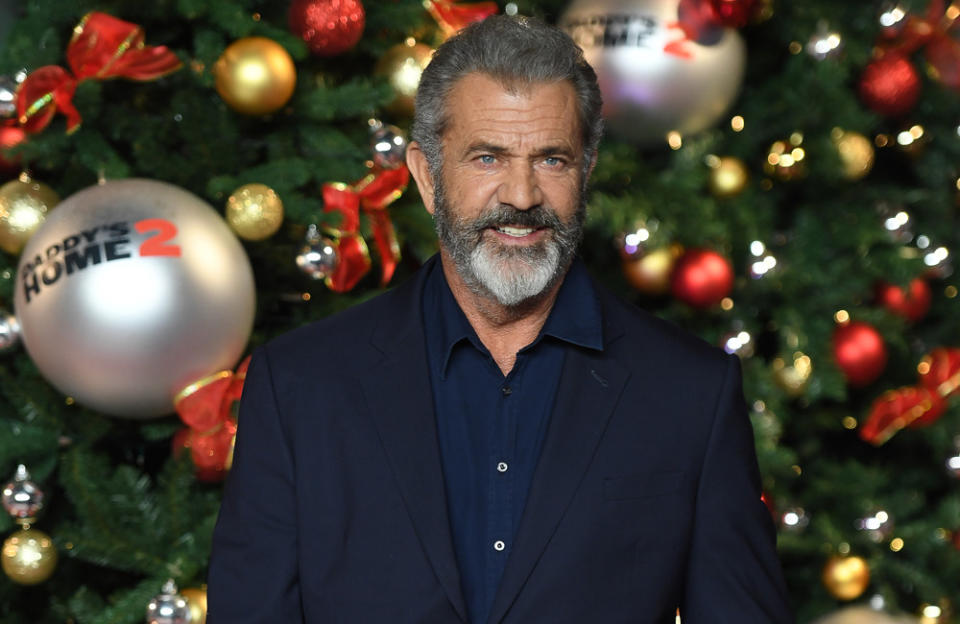 Mel Gibson will direct the film 'Flight Risk' credit:Bang Showbiz