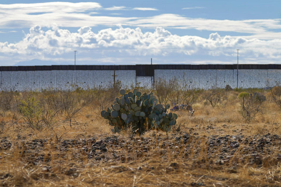Newly erected border wall separating Mexico and the United States, cuts through through the Sonoran Desert just west of the San Bernardino National Wildlife Refuge, Wednesday, Dec. 9, 2020, in Douglas, Ariz. Construction of the border wall, mostly in government owned wildlife refuges and Indigenous territory, has led to environmental damage and the scarring of unique desert and mountain landscapes that conservationists fear could be irreversible. (AP Photo/Matt York)