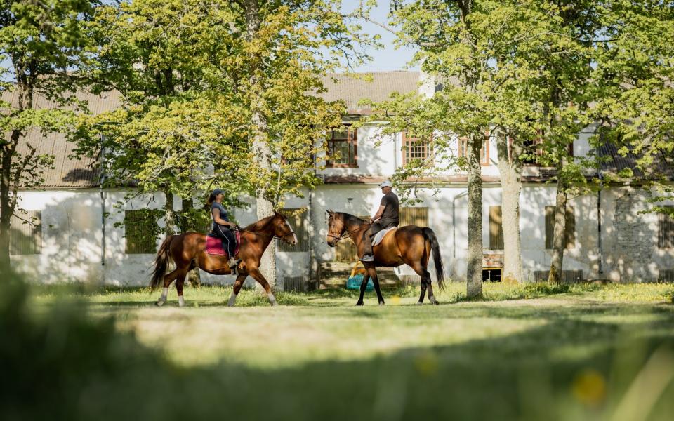 Ratsu Farm, next door to the hotel, has horses to saddle up