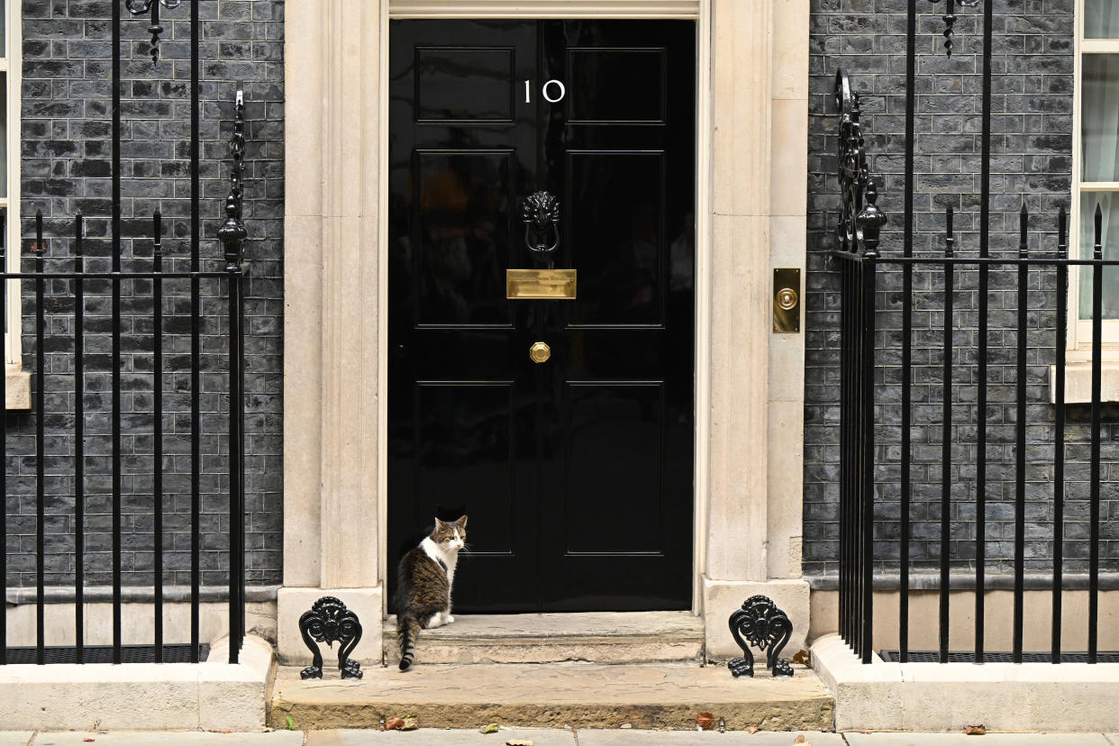 LONDON, ENGLAND - SEPTEMBER 4: Larry the cat sits outside number 10 Downing Street on September 4, 2024 in London, England. (Photo by Leon Neal/Getty Images)