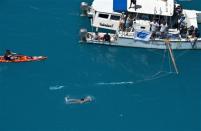 Diana Nyad, positioned about than two miles off Key West, Florida in this September 2, 2013 handout photo, swims towards the completion of her 111-mile trek from Cuba to the Florida Keys. REUTERS/Andy Newman/Florida Keys News Bureau/Handout via Reuters