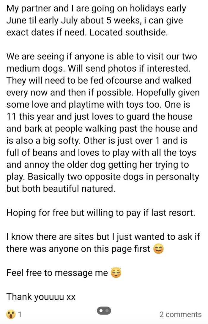 Needs someone for 5 weeks to sit their two "medium dogs," one 11 and one 1, who will need to be fed and walked every now and then, "hopefully given some love and playtime with toys" — "hoping for free but wiling to pay if last resort"