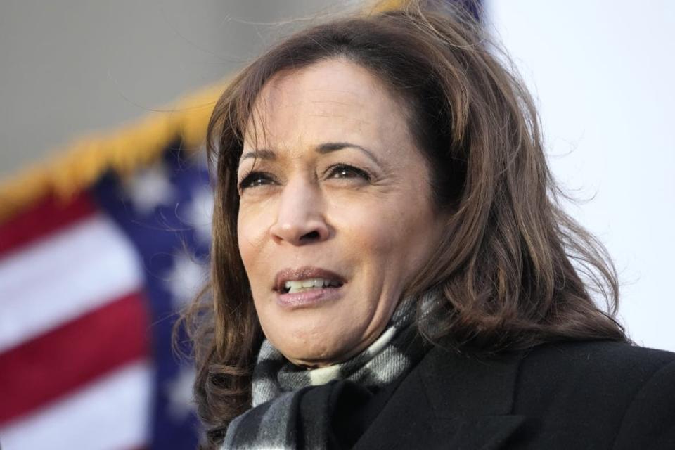 Vice President Kamala Harris addresses the crowd near the 95th Bridge over the Calumet River, Jan. 4, 2023, in Chicago. (AP Photo/Charles Rex Arbogast)