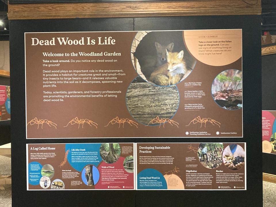 "Dead" wood can be used to foster life by supplying nutrients and material for "homes" in nature according to the Smithsonian traveling exhibit "Habitat," on display in the Keller Gallery at McKinley museum.