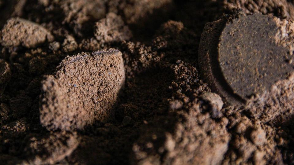 Used coffee grounds, which look like soil or compost