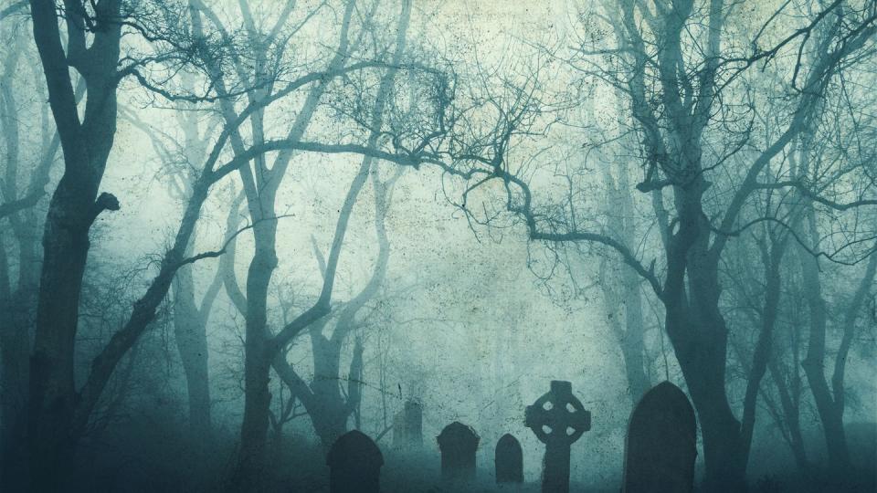 a horror concept of a spooky graveyard in a scary forest in winter, with the trees silhouetted by fog with a muted, grunge edit