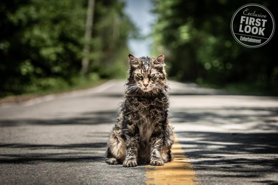 First Look at the new movie version of Stephen King's 'Pet Sematary'