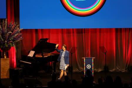 Democratic National Committee LGBTQ Gala - presidential candidates speak