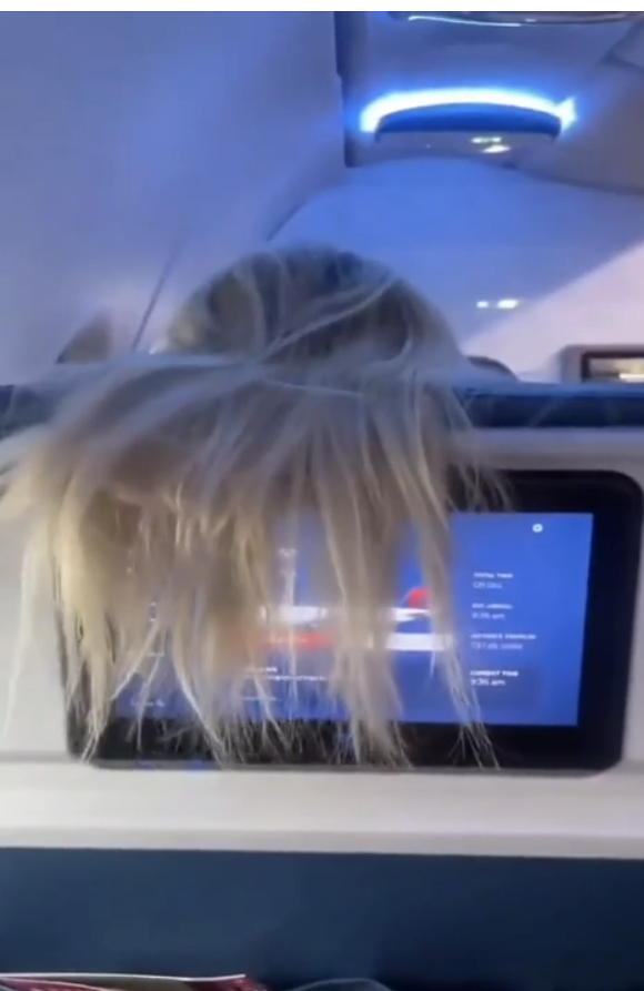 a person's hair on an airplane blocking someone's screen