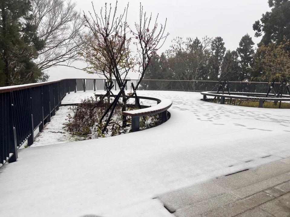 桃園市復興區今晨開始飄雪，後山三里緊急宣布停班停課一天。（翻攝自蘇佐璽臉書）