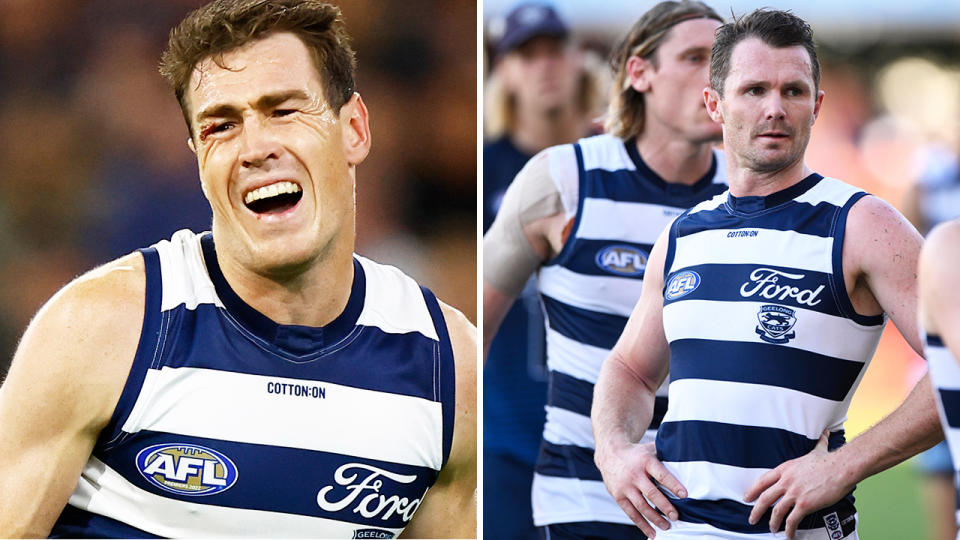Jeremy Cameron is pictured left, with Geelong captain Patrick Dangerfield on the right.