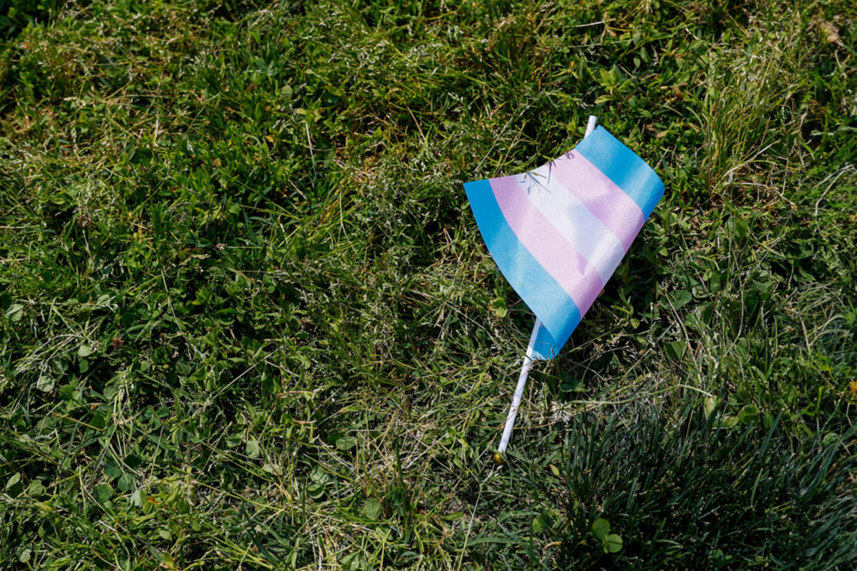 A transgender flag sits on the grass Anna Moneymaker/Getty Images