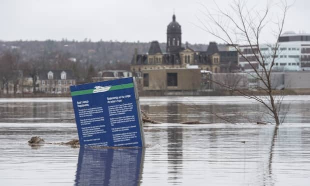 Officials with New Brunswick's River Watch program say the flood forecast for the next five days is favourable. (Stephen MacGillivray/Canadian Press - image credit)