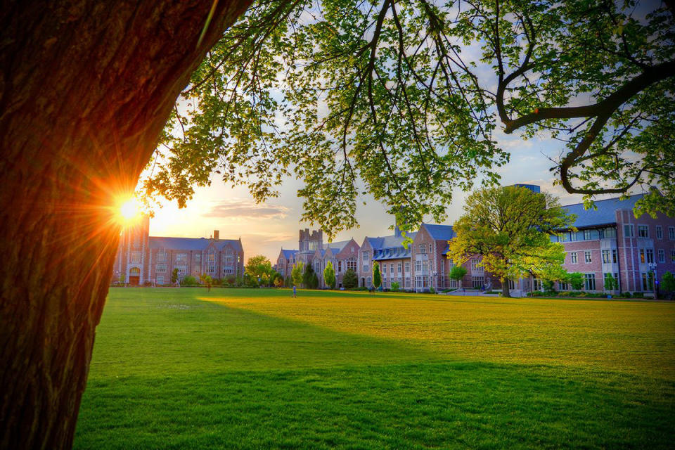 Washington University in St. Louis