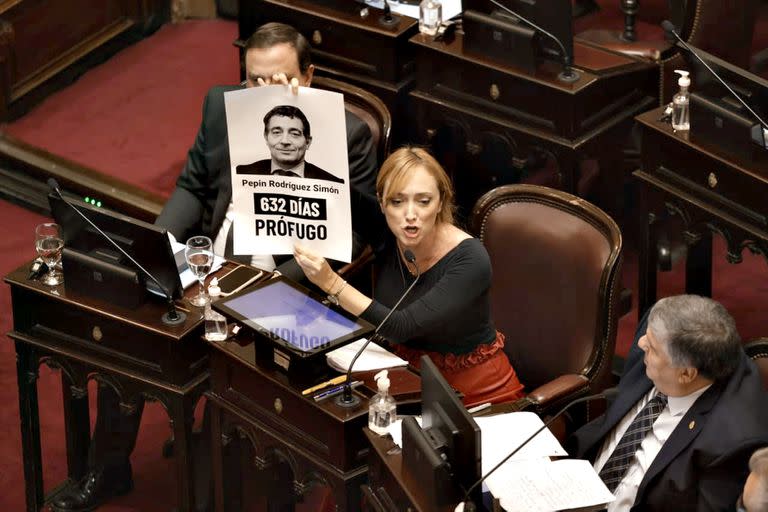 La senadora camporista Anabel Fernández Sagasti exhibió una imagen de Fabián "Pepín" Rodríguez Simón