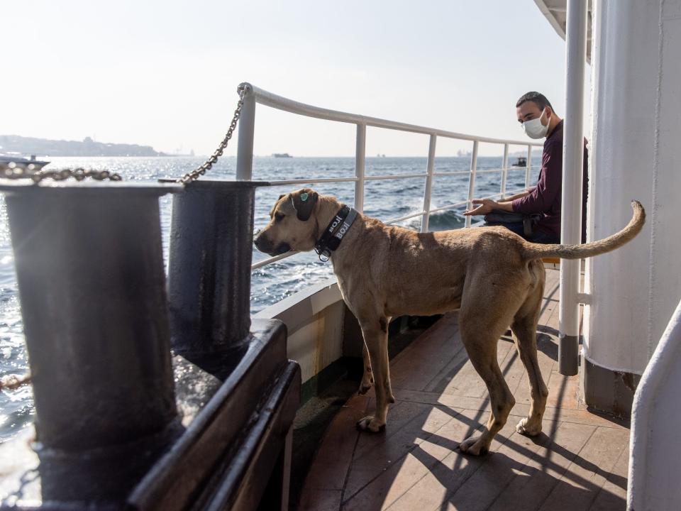 Boji rides a ferry to Besiktas.