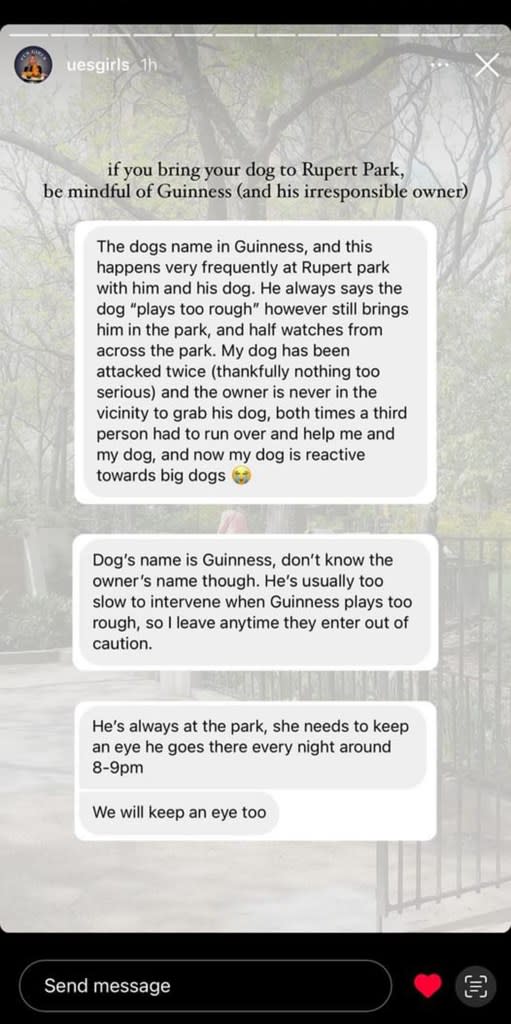 Rojas said she reached out to the community in the aftermath, and received several messages from others who have had bad experiences with the pit bull. Courtesy of Zaira Rojas