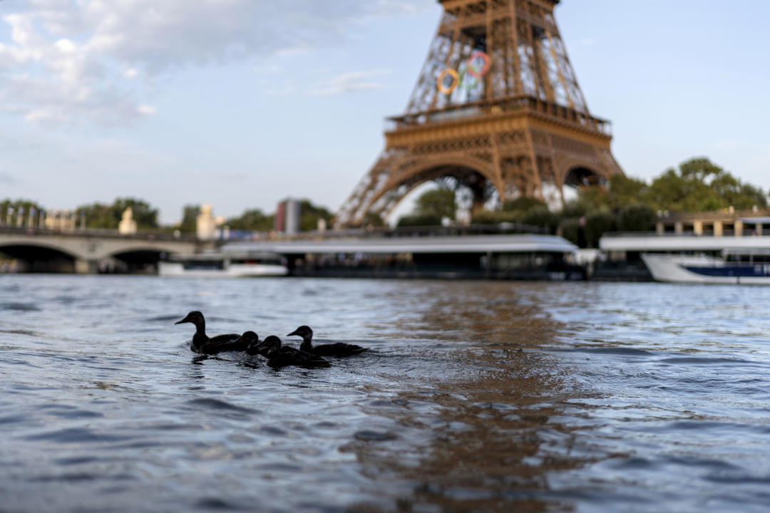 Río Sena de París  (AP/David Goldman)