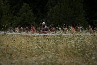 Runners compete during the marathon at the World Athletics Championships Sunday, July 17, 2022, in Eugene, Ore. (AP Photo/Charlie Riedel)