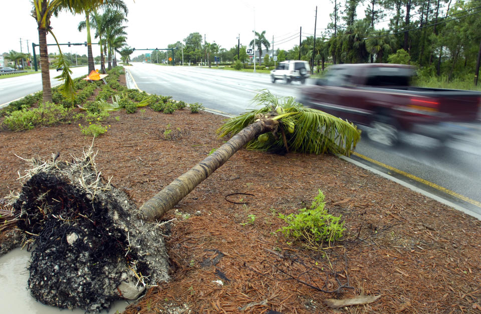 Hurrikan Irma sorgte im September 2017 in Florida für Chaos. (Bild: Getty Images)