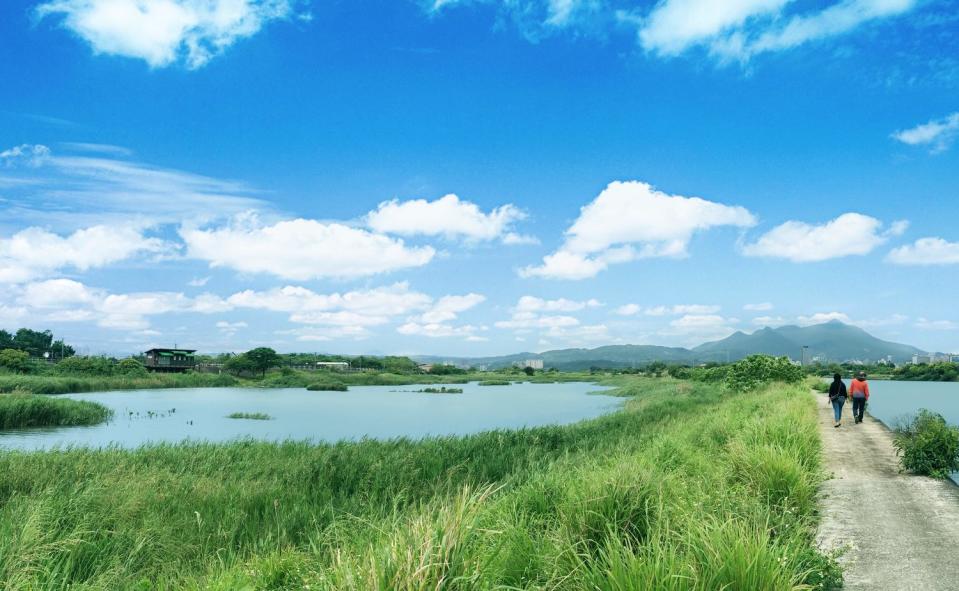 社子島濕地生態講豐富，風景優美。   圖：台北市水利局／提供