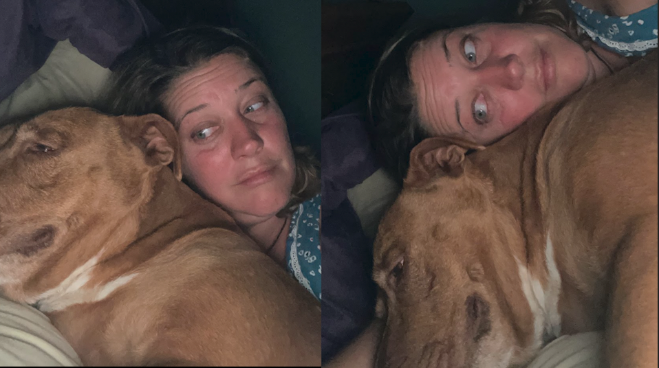 A Tennessee couple had an impromptu sleepover with a dog who mysteriously ended up in their bed one night. / Credit: Julie Johnson