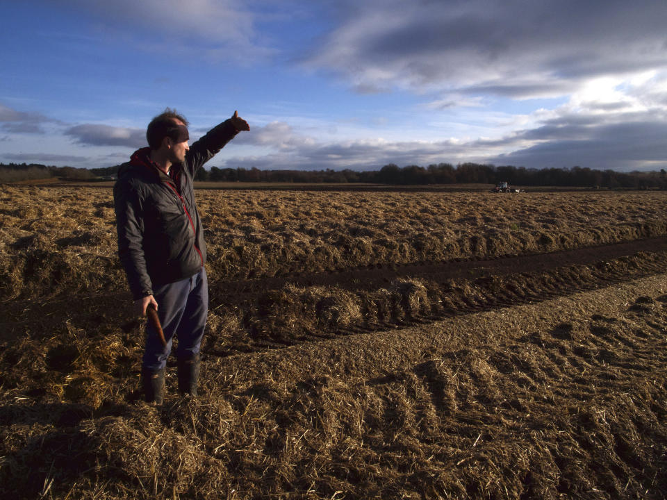 Johnnie Balfour, the managing director of Balbirnie farm in Cupar, Scotland holds a carrot as they are harvested on Tuesday Dec. 3, 2019. Balfour, who family has operated Balbirnie Farm since 1642, is tired of all the back and forth over independence. He remembers that voters were told ahead of the 2014 vote that this was a "once in a generation" decision _ he doesn't want to revisit it just five years later. (AP Photo/Renee Graham)