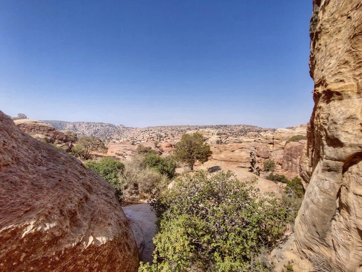 Dana is Jordan’s largest nature reserve and is home to endangered species (Getty Images/iStockphoto)