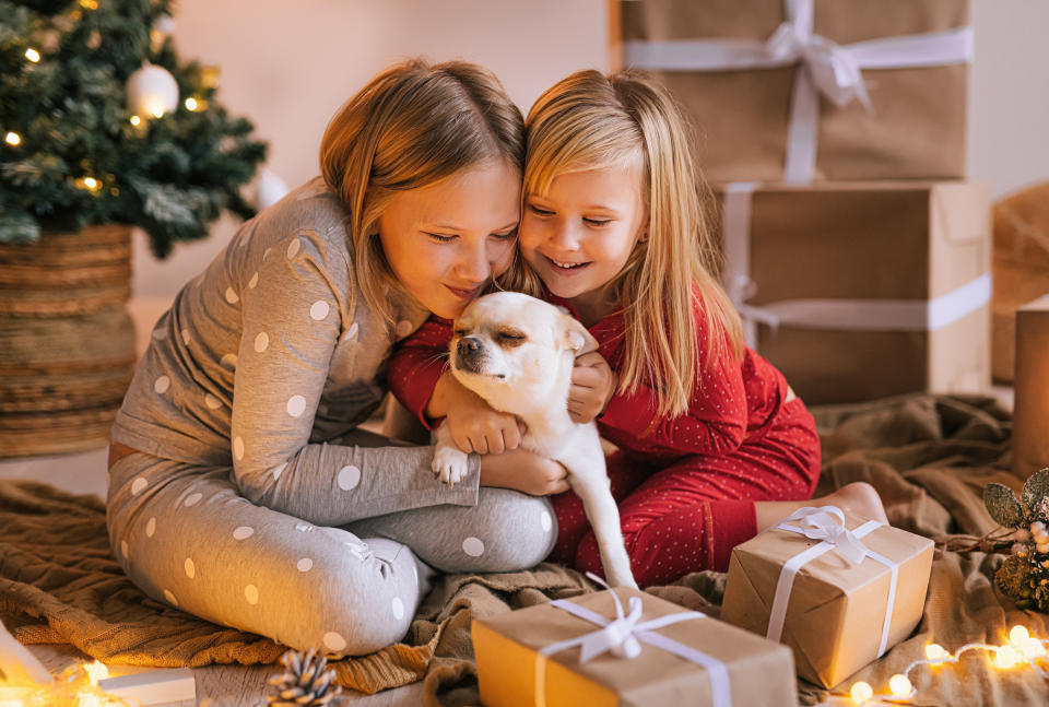 Two european blond little sisters playing with a cute dog at home on Christmas