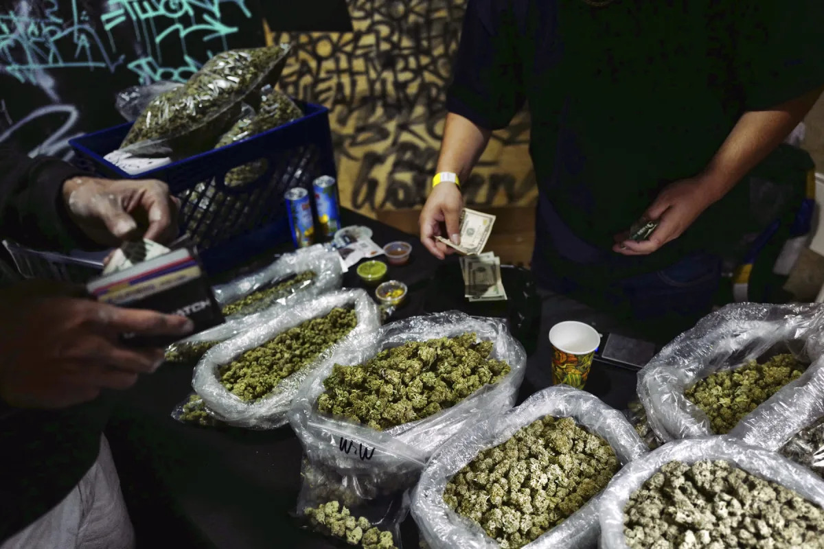 Double dealing: Legal, illicit blur in California pot market