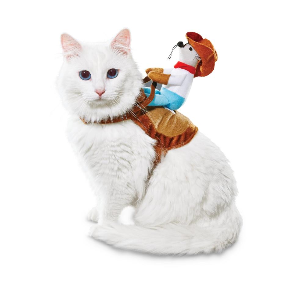 Cowboy Kitty-Up Cat Costume