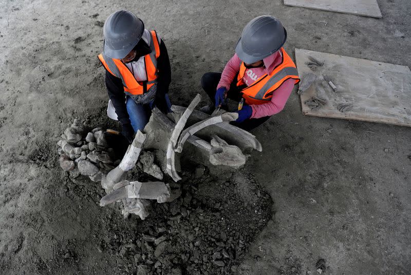 Workers of Mexico's National Institute of Anthropology and History (INAH) work at a site where more than 100 mammoth skeletons have been identified, along with a mix of other ice age mammals, in Zumpango