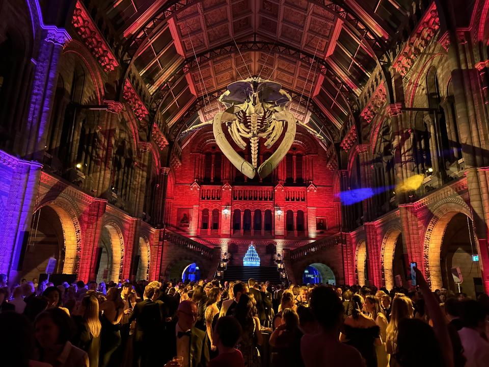 Blue whale hovers over the after-party at the Natural History Museum. Photo by Baz Bamigboye/Deadline.