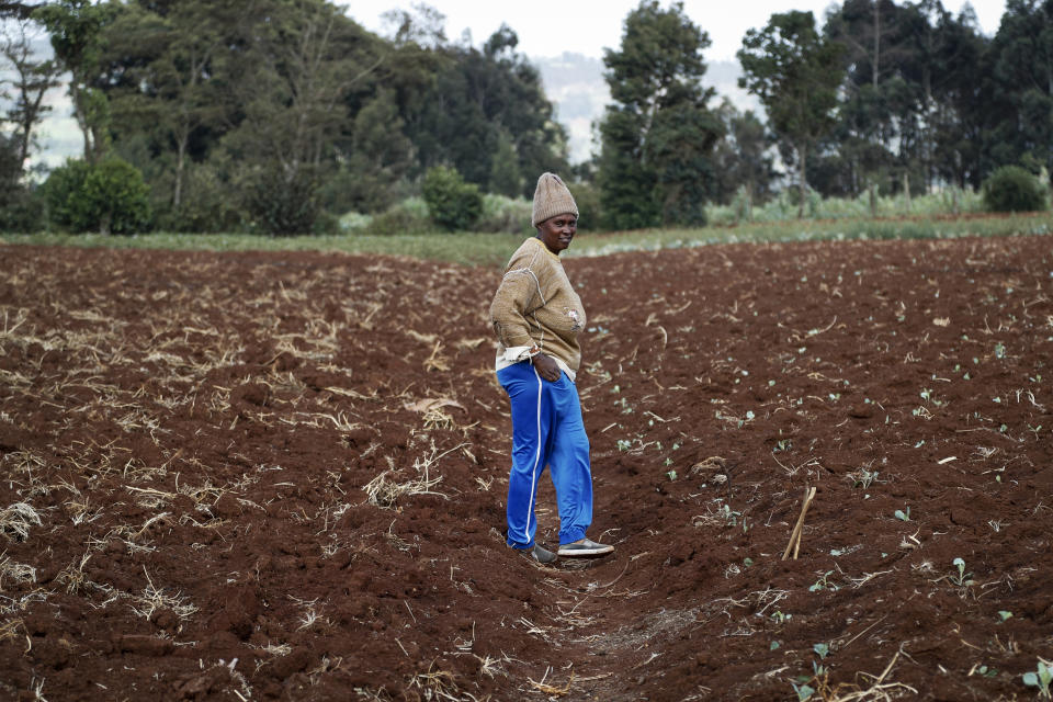 Farmer Monicah Wanjiku walks around her farm in Kiambu, near Nairobi, in Kenya Thursday, March 31, 2022. Russia's war in Ukraine has pushed up fertilizer prices that were already high, made scarce supplies rarer still and squeezed farmers, especially those in the developing world struggling to make a living. (AP Photo/Brian Inganga)