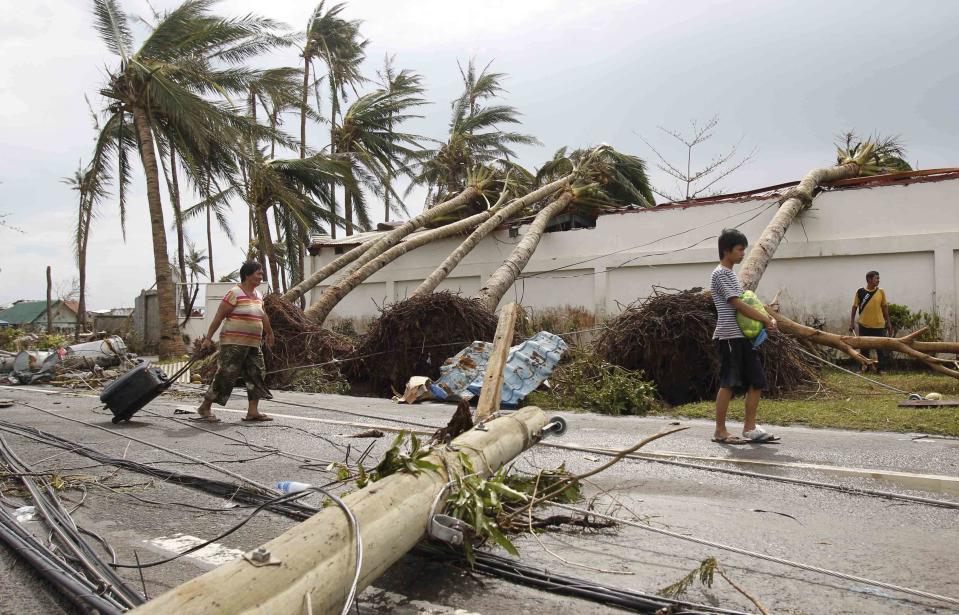 Survivors walks past uprooted trees after super Typhoon Haiyan battered Tacloban city, central Philippines