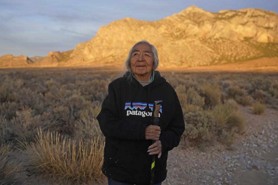 Delaine Spilsbury, an Ely Shoshone elder poses for a photo on Nov. 11, 2023, in Bahsahwahbee, a site in eastern Nevada that is sacred to members of the Ely Shoshone, Duckwater Shoshone and the Confederated Tribes of the Goshute Reservation. Their ancestors were massacred by white people on several occasions at this site and tribal members believe their spirits live on in the trees. Spilsbury has worked for years on federal recognition for the sacred site. (AP Photo/Rick Bowmer)