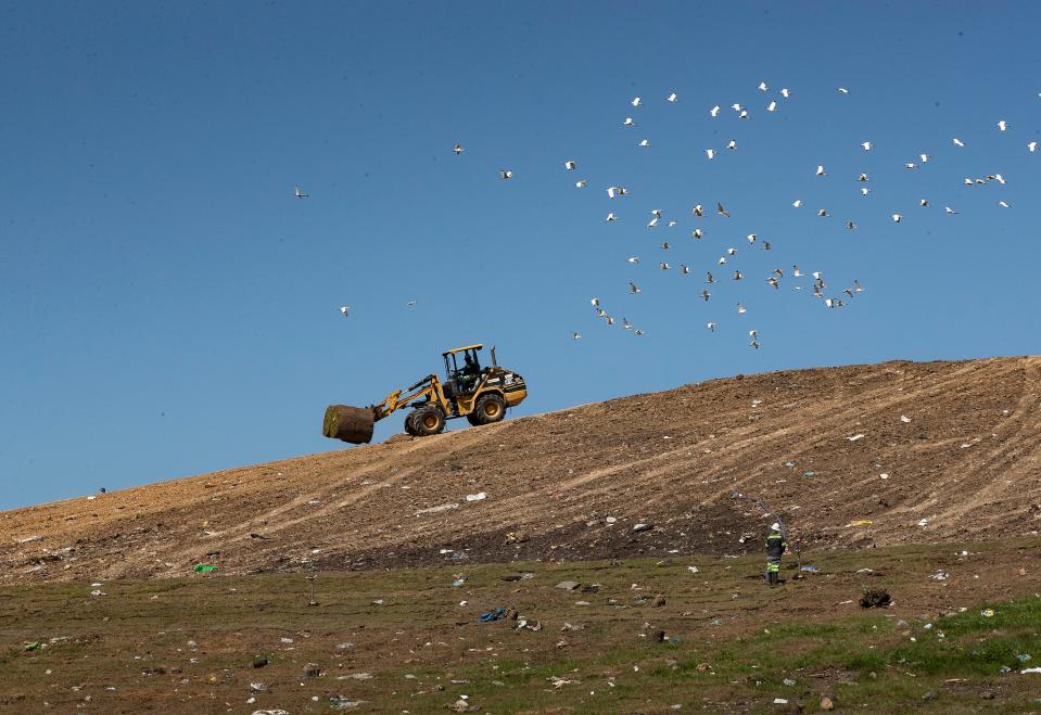 A front end loader carries rolls of sod to cover the sides of the landfill at the North Central Polk County Landfill in Lakeland Fl.Friday May 7 2021.  ERNST PETERS/ THE LEDGER