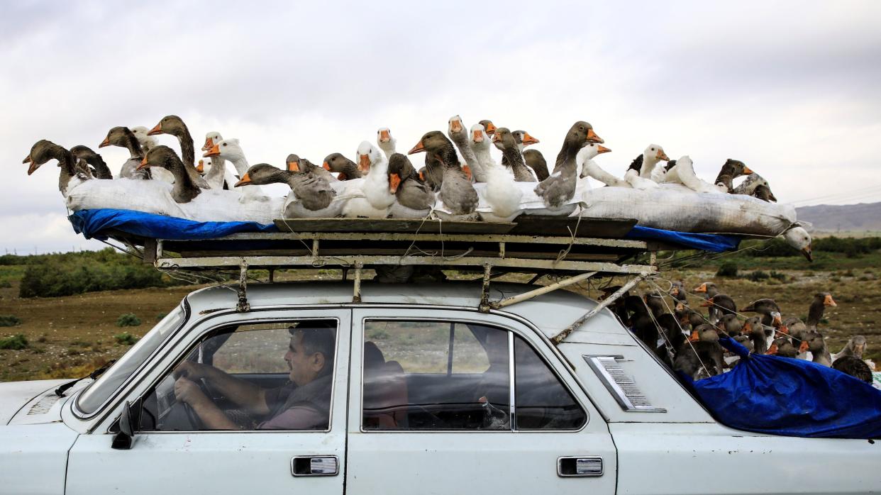 (Photo: Umit Bektas / Reuters)