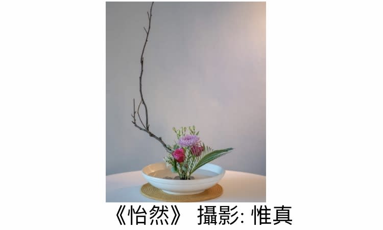 廣容／《花開自有時》——生命的撿拾之間