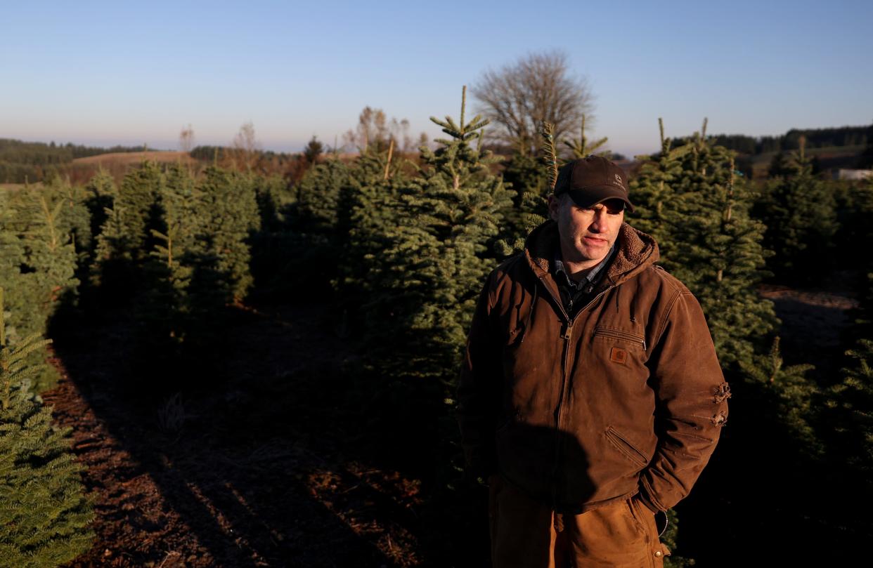 El propietario de Silver Bells Christmas Trees, Casey Grogan, en Silverton, Oregon, el martes 15 de noviembre de 2022.